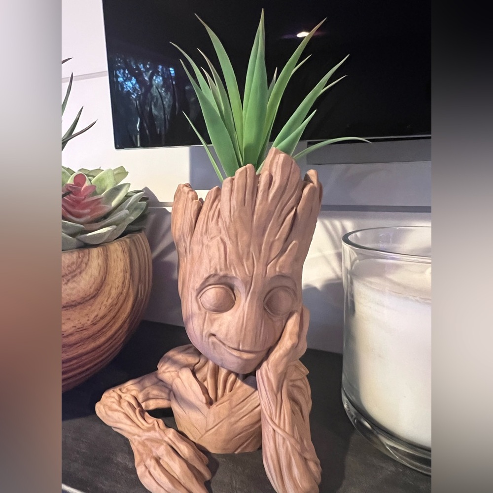 Groot succulent holder.